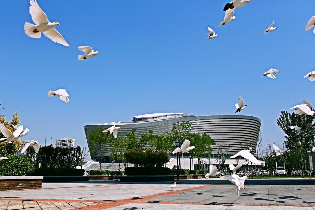 官宣！學(xué)校新增“會計學(xué)”“光電信息材料與器件” 兩個本科專業(yè)